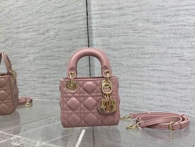 DIOR Handbags 1010